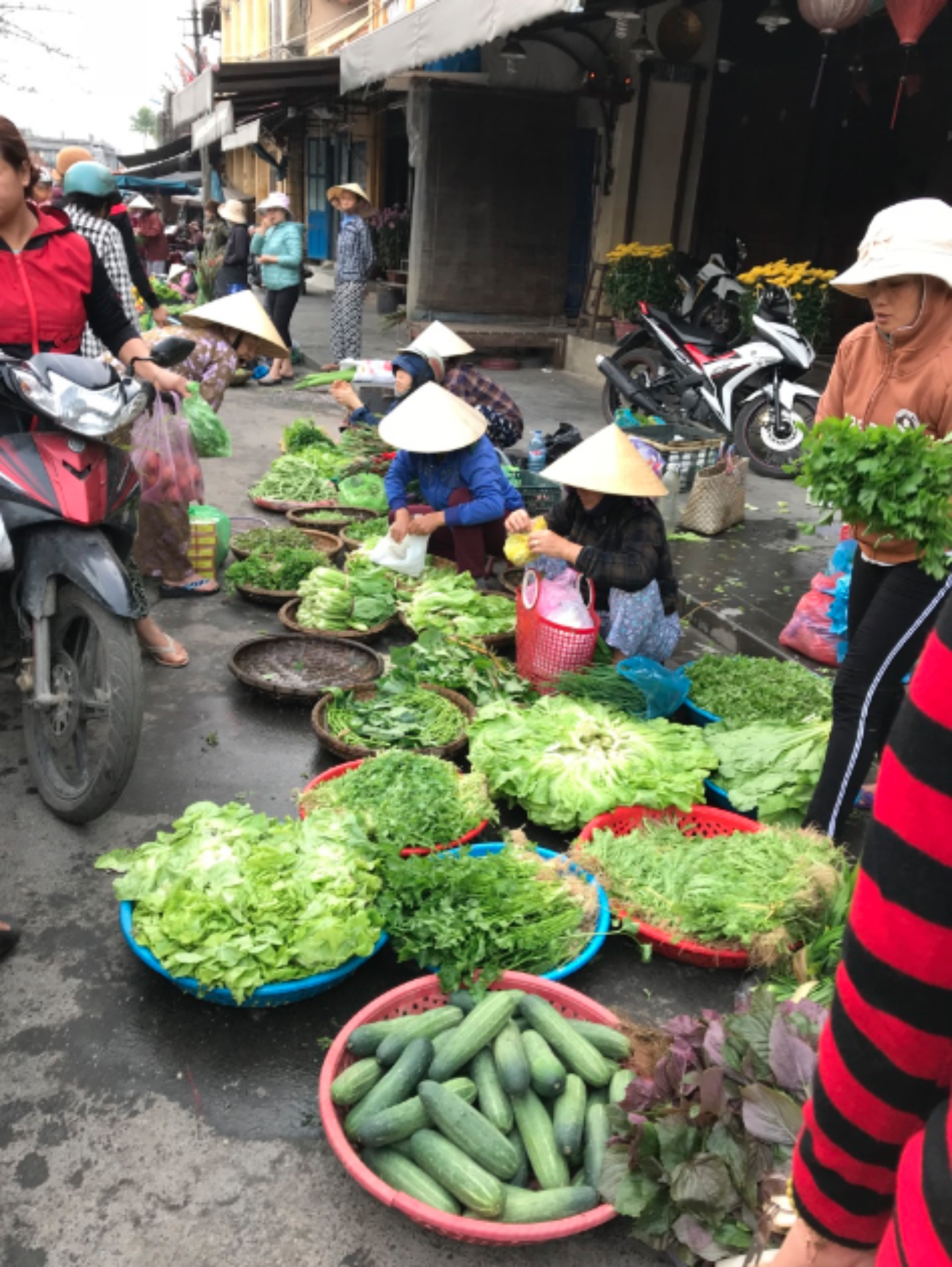 Screen Shot 2018 03 06 at 2 20 40 PM 1