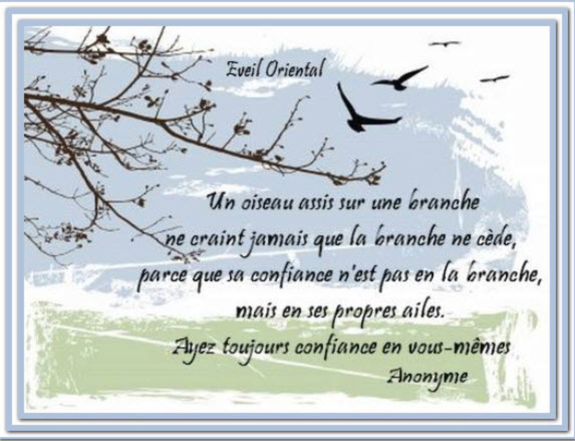 Oiseau confiance