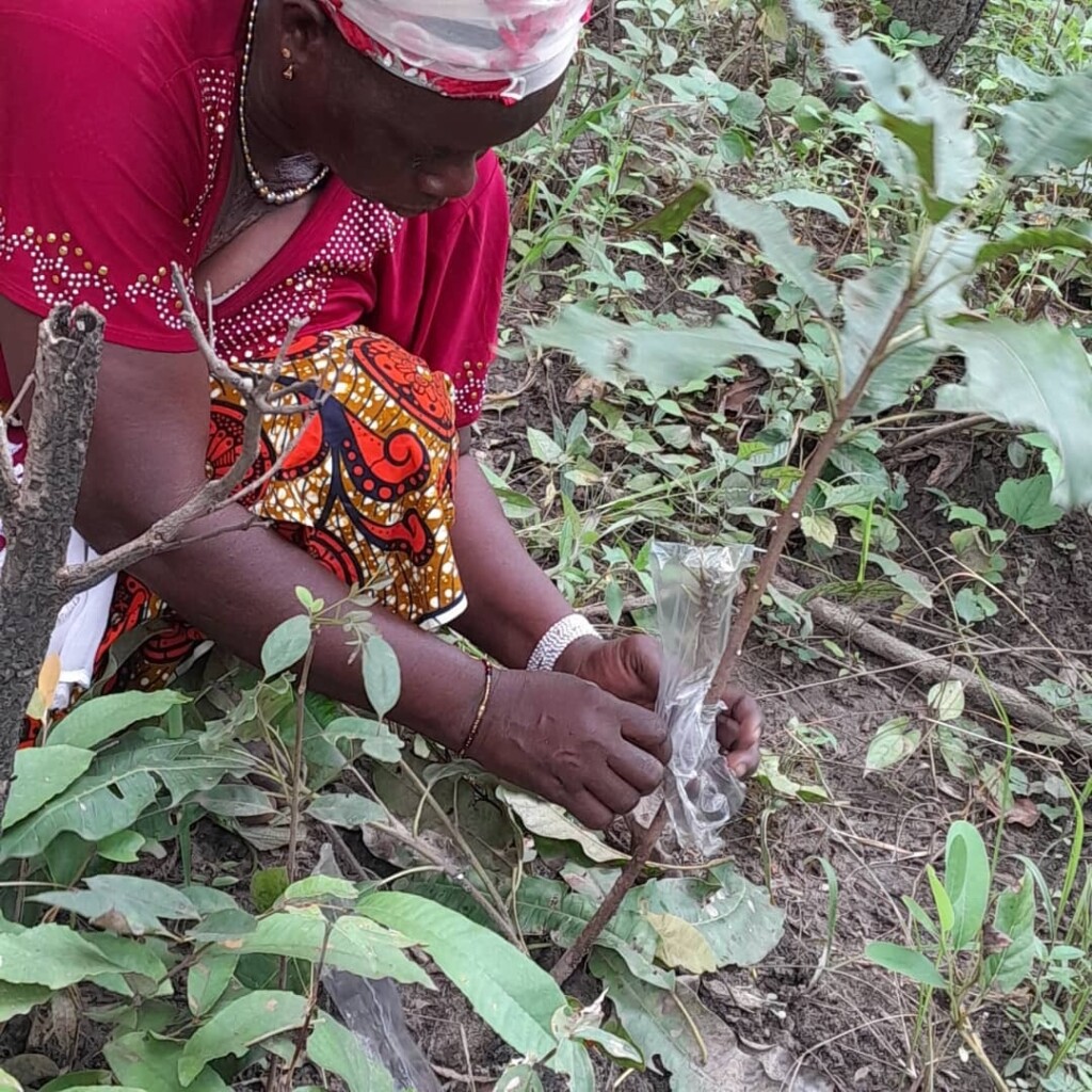 PHOTO 2025 05 13 09 26 18