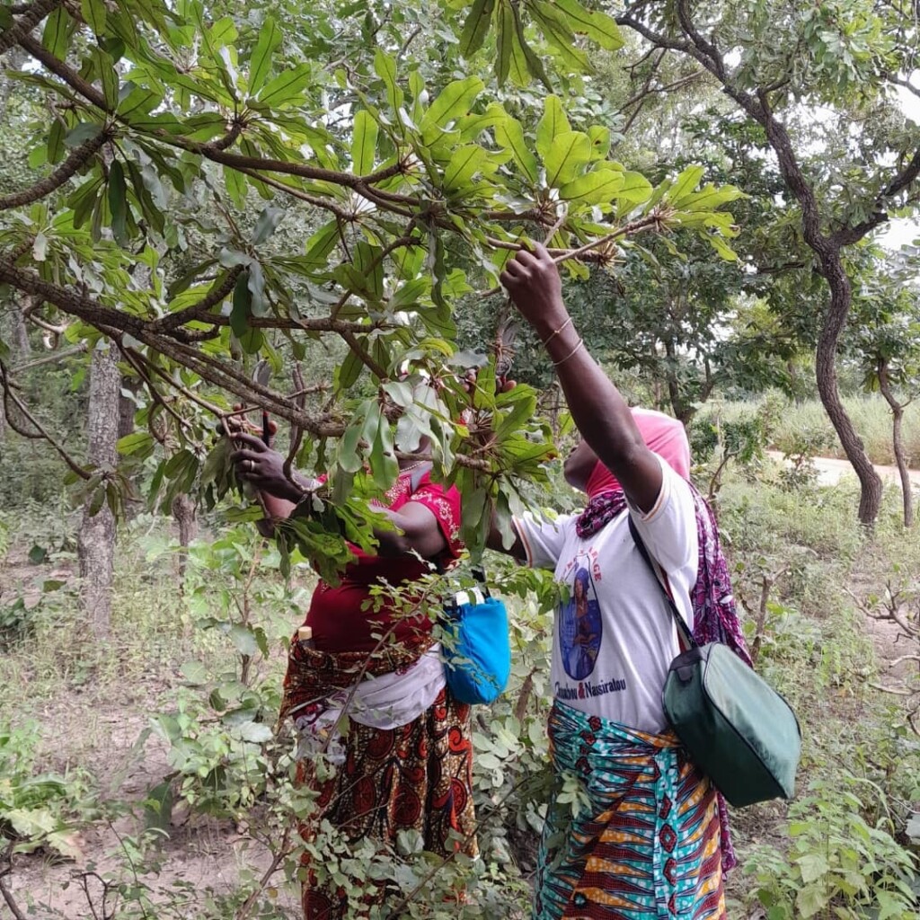 PHOTO 2025 05 13 09 27 03