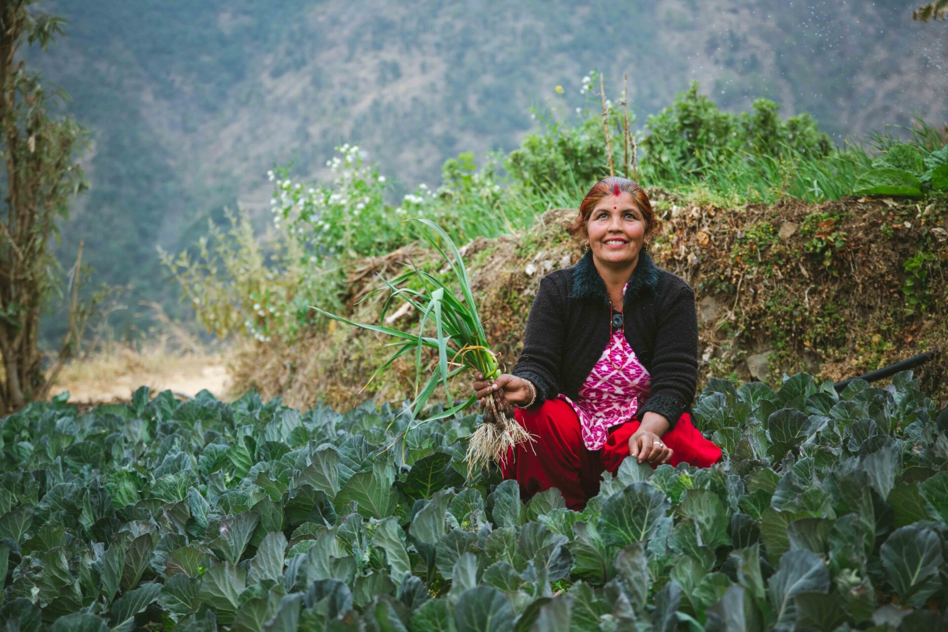 Nepal 2021 Nikesh Kakshapati Makhmali women Cooperative 8 1 1