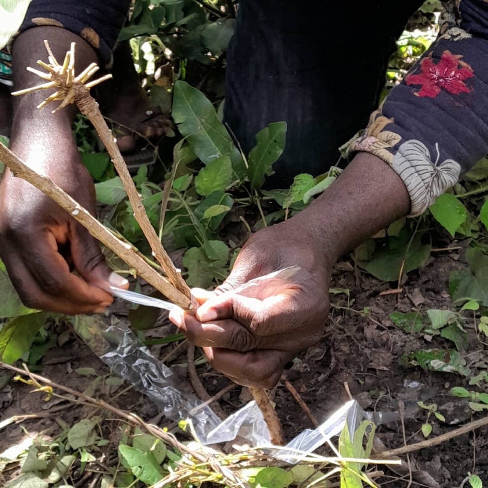 PHOTO 2025 05 13 09 07 11