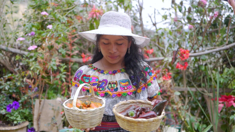 Guatemala 2022 NQSF 4
