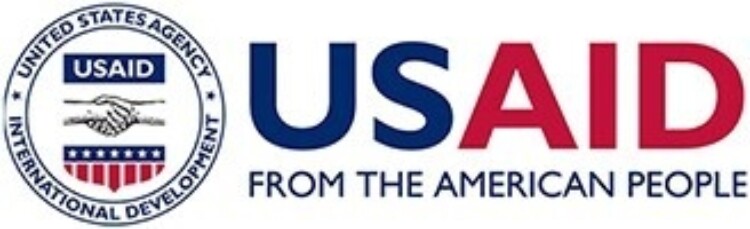 Logo usaid original size 100 original size